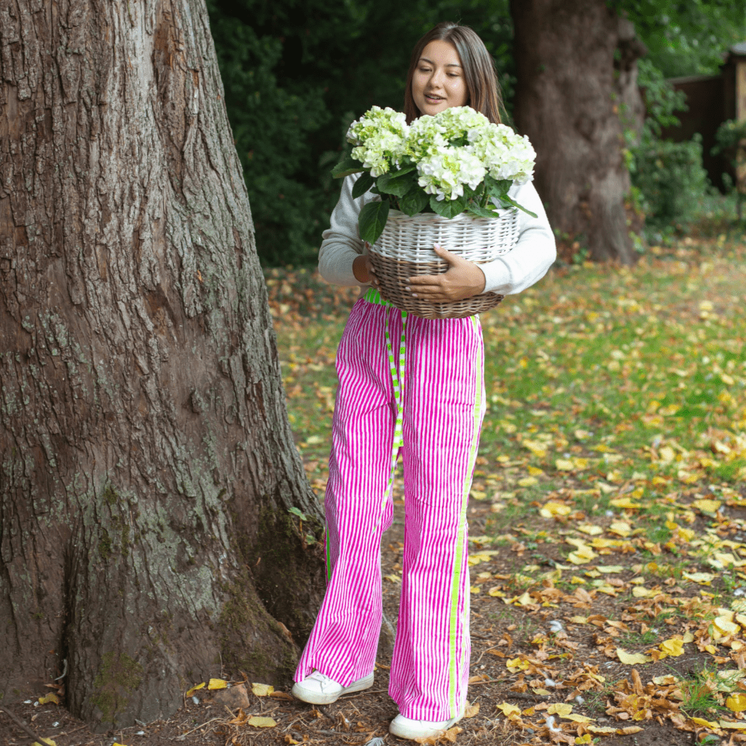 The Pop Pants | Sugar Rush - Bombaby