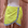 Ruffle Wrap Mini Skirt | Ibiza PRE ORDER - Bombaby